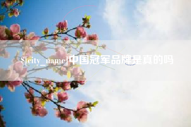 丹东中国冠军品牌是真的吗