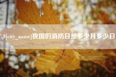 丹东我国的消防日是多少月多少日