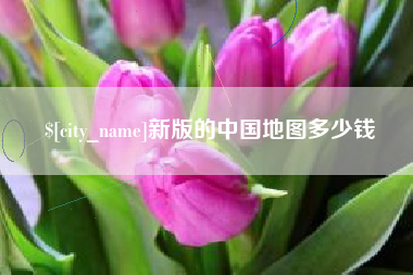 丹东新版的中国地图多少钱