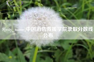 丹东中国消防救援学院录取分数线公布