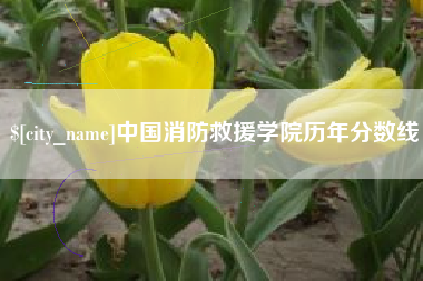 丹东中国消防救援学院历年分数线