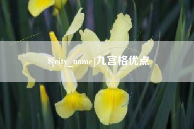 丹东九宫格优点