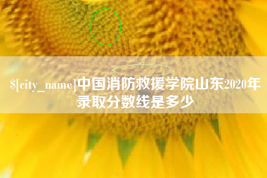 丹东中国消防救援学院山东2020年录取分数线是多少