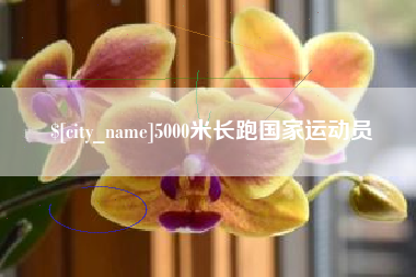 丹东5000米长跑国家运动员