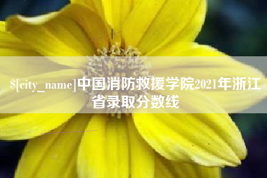 丹东中国消防救援学院2021年浙江省录取分数线