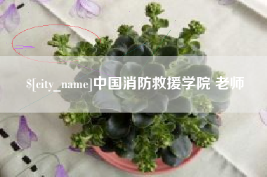 丹东中国消防救援学院 老师
