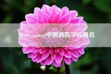 丹东中国消防学校排名