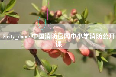 丹东中国消防官网中小学消防公开课