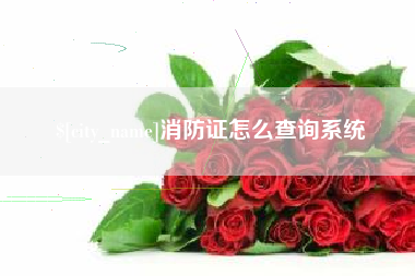 丹东消防证怎么查询系统
