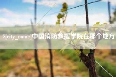 丹东中国消防救援学院在那个地方