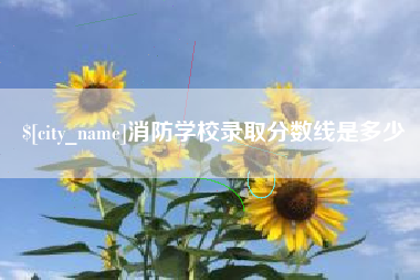 丹东消防学校录取分数线是多少