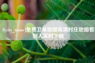 丹东免费卫星地图高清村庄地图看到人实时下载