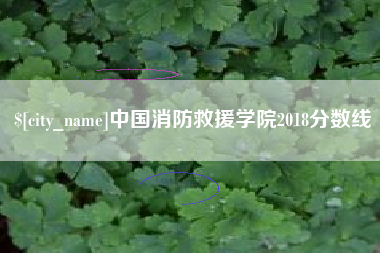 丹东中国消防救援学院2018分数线