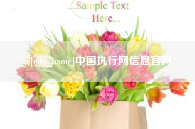 丹东中国执行网信息官网