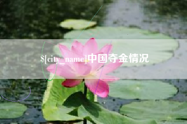 丹东中国夺金情况