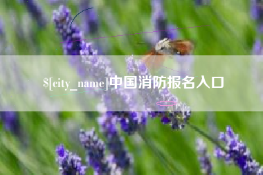 丹东中国消防报名入口