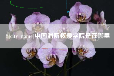 丹东中国消防救援学院是在哪里