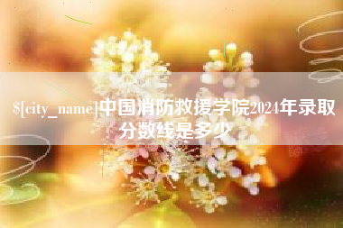 丹东中国消防救援学院2024年录取分数线是多少
