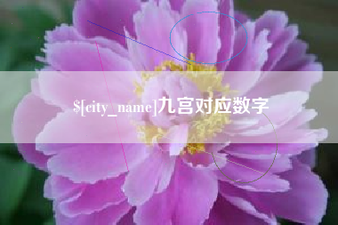 丹东九宫对应数字