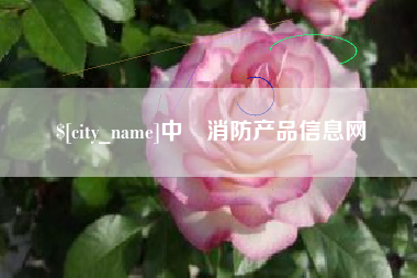 丹东中囯消防产品信息网