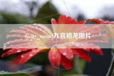 丹东九宫格龙图片