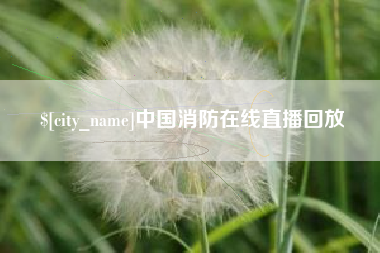 丹东中国消防在线直播回放