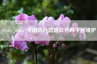 丹东中国执行信息公开网平台维护