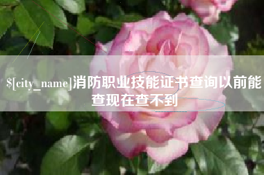 丹东消防职业技能证书查询以前能查现在查不到