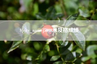 丹东5000米及格成绩