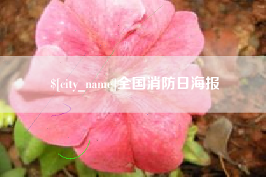 丹东全国消防日海报