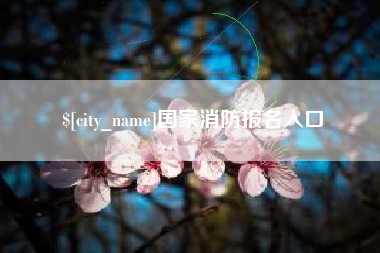 丹东国家消防报名入口