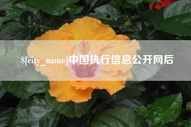 丹东中国执行信息公开网后