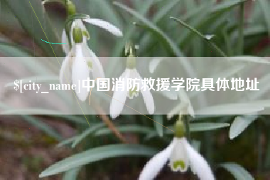 丹东中国消防救援学院具体地址