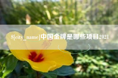 丹东中国金牌是哪些项目2021
