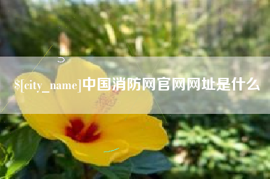 丹东中国消防网官网网址是什么