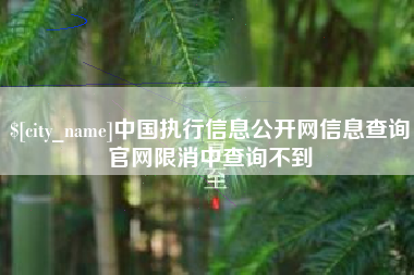丹东中国执行信息公开网信息查询官网限消中查询不到