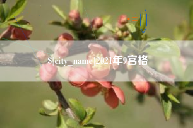 丹东2021年9宫格