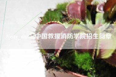 丹东中国救援消防学院招生简章