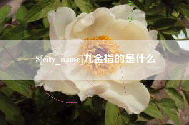 丹东九金指的是什么