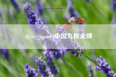 丹东中国九枚金牌