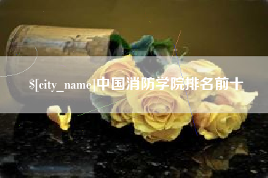 丹东中国消防学院排名前十