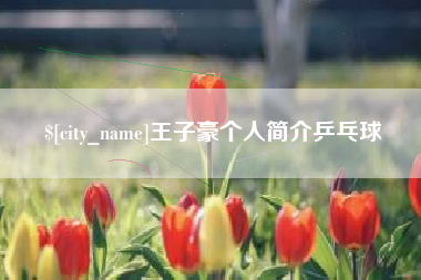 丹东王子豪个人简介乒乓球