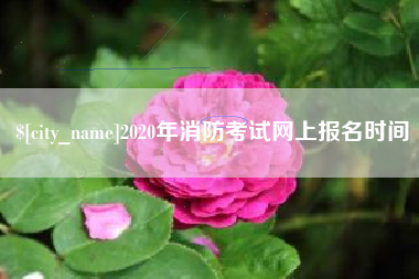 丹东2020年消防考试网上报名时间