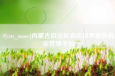 丹东内蒙古自治区消防技术服务执业管理平台