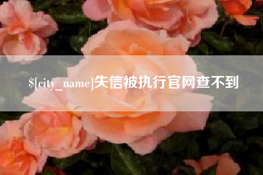 丹东失信被执行官网查不到