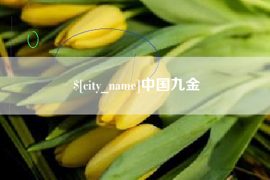 丹东中国九金