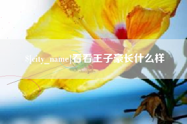 丹东看看王子豪长什么样