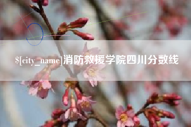 丹东消防救援学院四川分数线