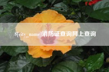 丹东消防证查询网上查询