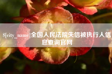 丹东全国人民法院失信被执行人信息查询官网